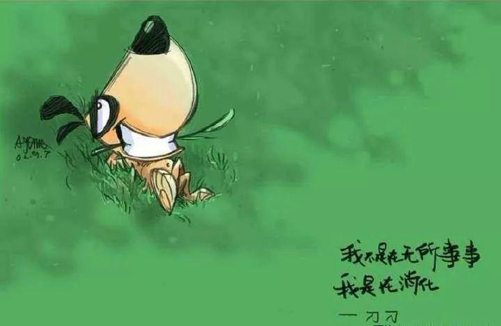 学生床上用品中山在哪买,中山学生床上用品购买指南