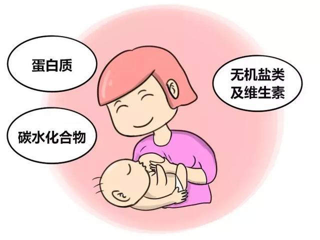 2个月母乳宝宝大便,两个月内母乳宝宝大便的特点与观察