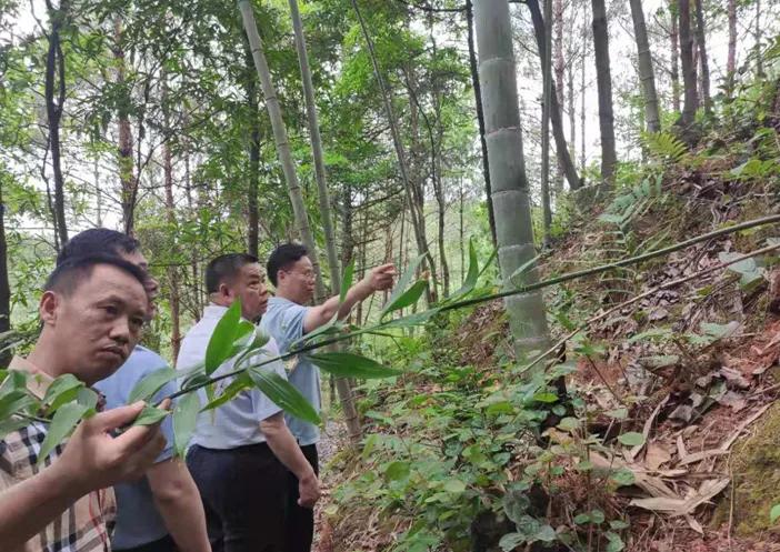 通道侗族自治县人民政府办公室最新招聘信息,通道侗族自治县人民政府办公室最新招聘信息详解