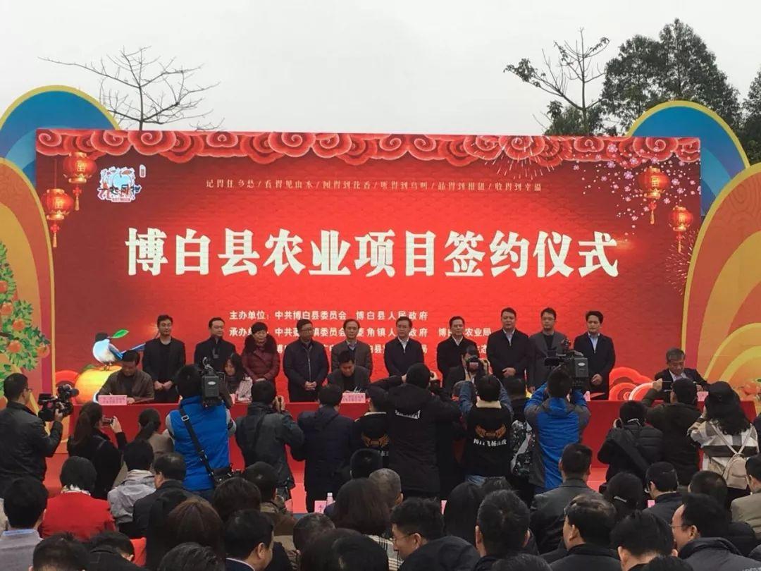 两当县文化广电体育和旅游局最新招聘信息,两当县文化广电体育和旅游局最新招聘信息概览