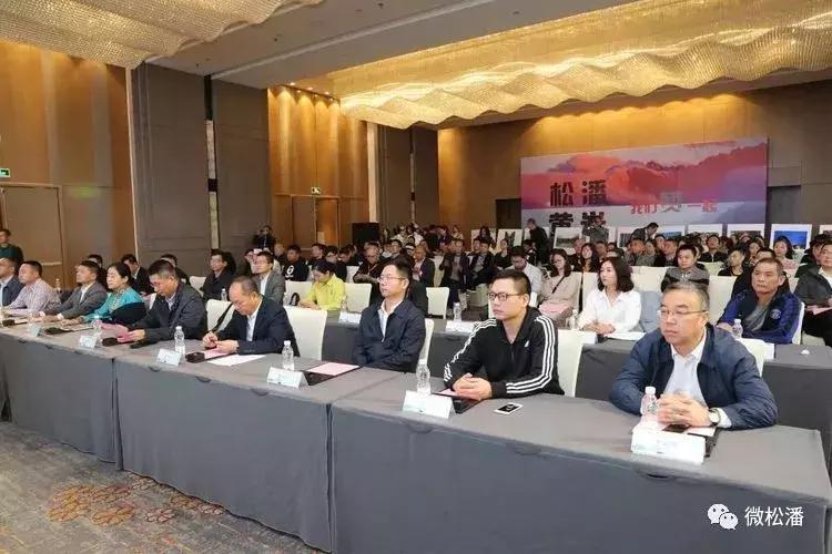 松潘县自然资源和规划局最新项目,松潘县自然资源和规划局最新项目，推动地方可持续发展