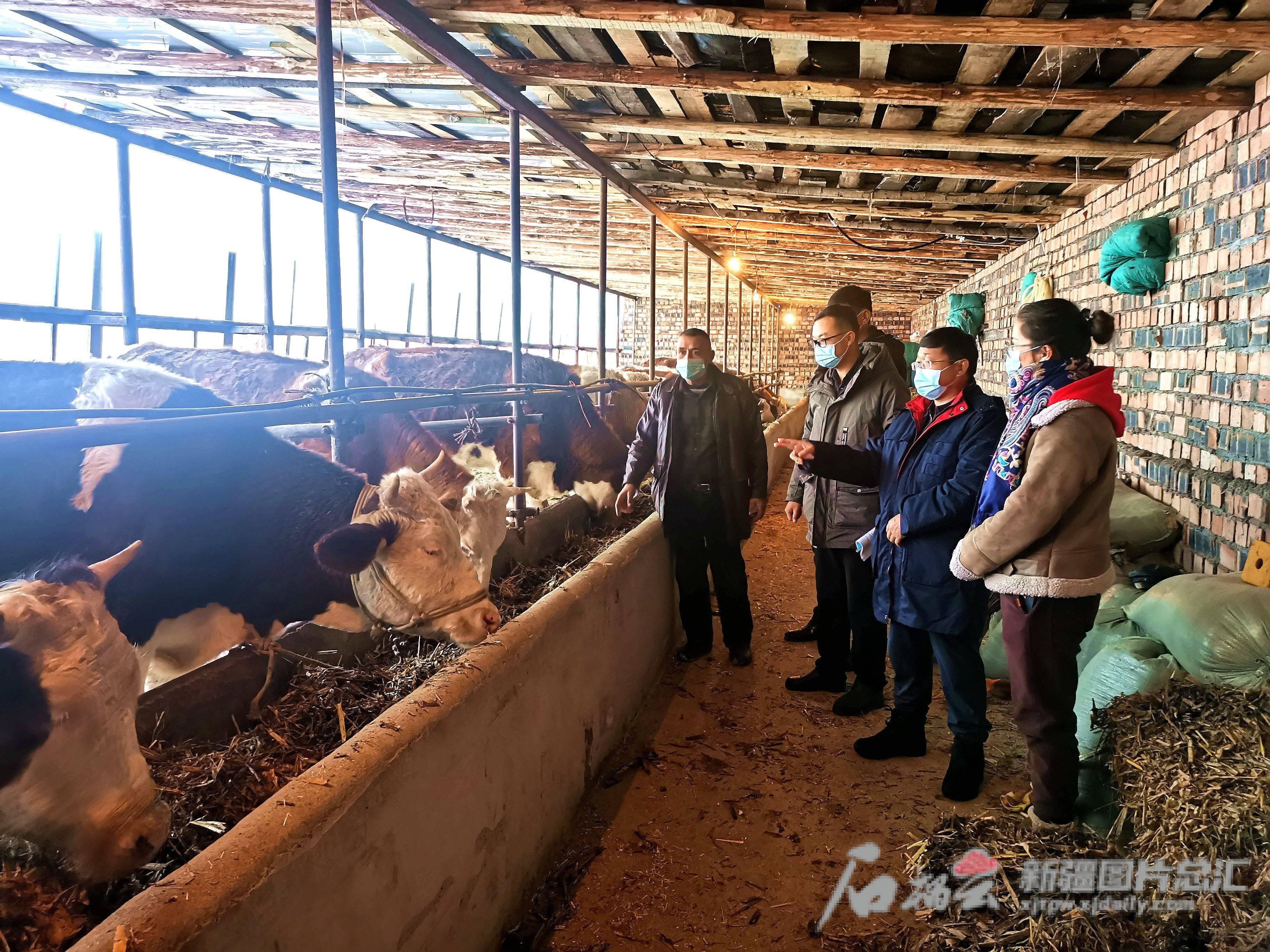 察布查尔锡伯自治县交通运输局最新新闻,察布查尔锡伯自治县交通运输局最新新闻报告