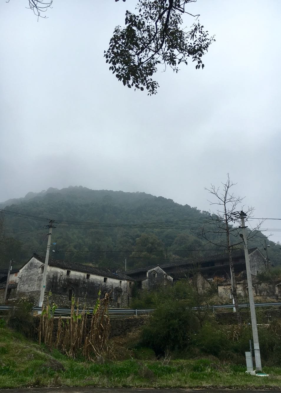 括帮村最新天气预报,括帮村最新天气预报