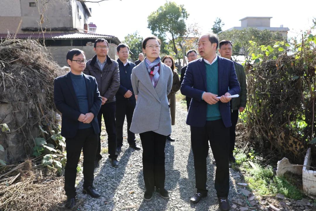 下城门村委会最新新闻,下城门村委会最新新闻