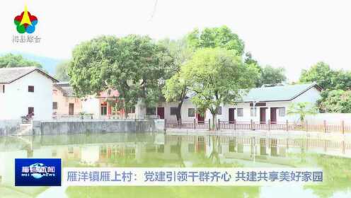 雁洋镇最新新闻,雁洋镇最新新闻报道