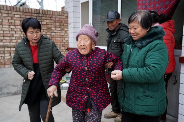 山西省大同市阳高县罗文皂镇最新新闻,山西省大同市阳高县罗文皂镇最新新闻概览