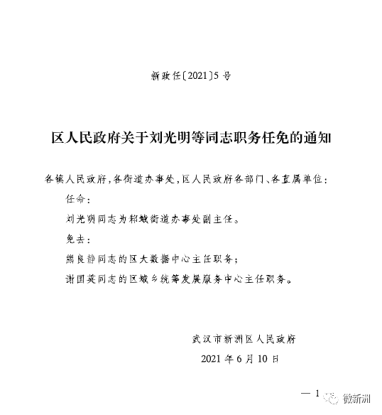 信息咨询服务 第35页