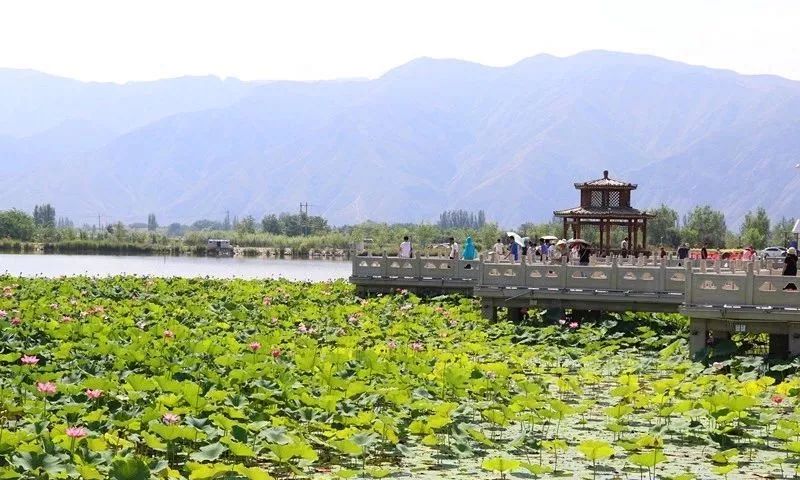 拉妥一村最新发展规划,拉妥一村最新发展规划