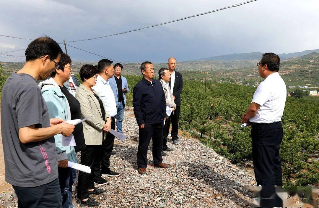 囊谦县发展和改革局最新招聘信息,囊谦县发展和改革局最新招聘信息详解