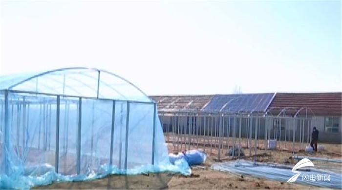 海阳市农业农村局最新项目,海阳市农业农村局最新项目，推动农业现代化，助力乡村振兴