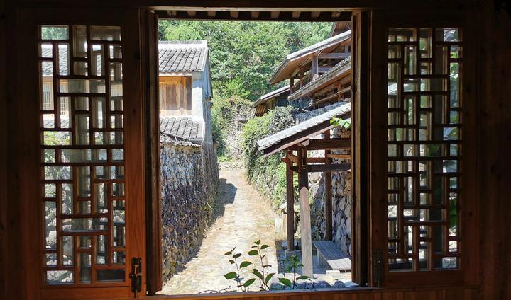 青山镇最新新闻,青山镇最新新闻报道