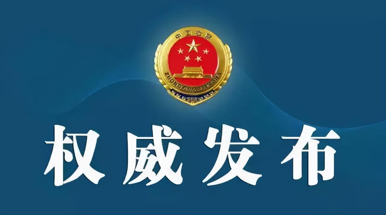 上城区统计局最新项目,上城区统计局最新项目概览